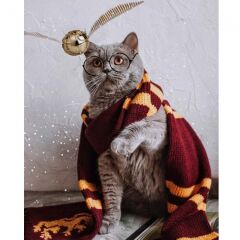 Kanvas Atkılı Kedi Sayılarla Boyama Seti Rulo