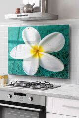 Ocak Arkası Cam Koruyucu Tezgah Ankastre Arkası Koruyucu | Plumeria Çiçek Desenli