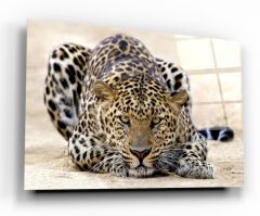 Leopar Cam Tablo Özel Tasarım Ofis, Mutfak Çocuk Odası, Salon Dekorasyon