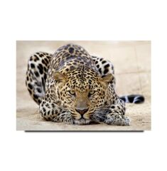 Leopar Cam Tablo Özel Tasarım Ofis, Mutfak Çocuk Odası, Salon Dekorasyon