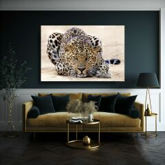 Leopar Cam Tablo Özel Tasarım Ofis, Mutfak Çocuk Odası, Salon Dekorasyon