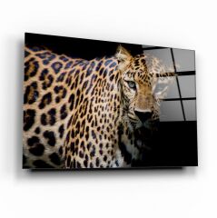 Leopar Cam Tablo Özel Tasarım Ofis, Mutfak Çocuk Odası, Salon Dekorasyon