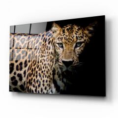 Leopar Cam Tablo Özel Tasarım Ofis, Mutfak Çocuk Odası, Salon Dekorasyon