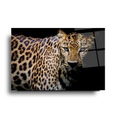Leopar Cam Tablo Özel Tasarım Ofis, Mutfak Çocuk Odası, Salon Dekorasyon