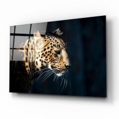 Çita Cam Tablo Özel Tasarım Ofis, Mutfak Çocuk Odası, Salon Dekorasyon