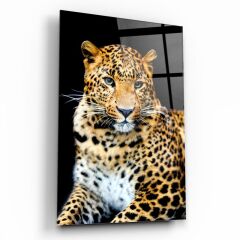 Leopar Cam Tablo Özel Tasarım Ofis, Mutfak Çocuk Odası, Salon Dekorasyon