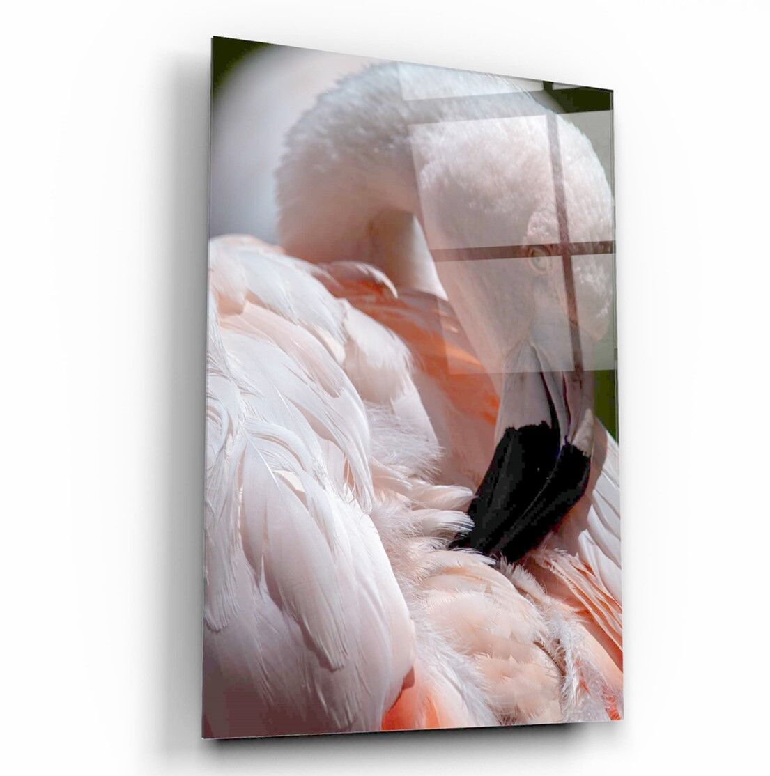 Flamingo Cam Tablo Özel Tasarım Ofis, Mutfak Çocuk Odası, Salon Dekorasyon