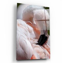 Flamingo Cam Tablo Özel Tasarım Ofis, Mutfak Çocuk Odası, Salon Dekorasyon
