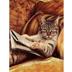 Kanvas Keyfekeder Kedi Sayılarla Boyama Seti Rulo