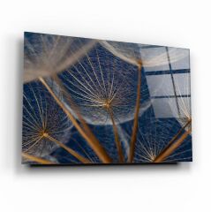 Karahindiba Cam Tablo Özel Tasarım Ofis, Mutfak Çocuk Odası, Salon Dekorasyon