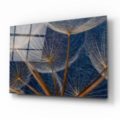 Karahindiba Cam Tablo Özel Tasarım Ofis, Mutfak Çocuk Odası, Salon Dekorasyon