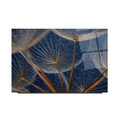 Karahindiba Cam Tablo Özel Tasarım Ofis, Mutfak Çocuk Odası, Salon Dekorasyon