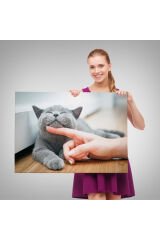 Sevimli Kedi Dekoratif Kanvas Tablo-6505