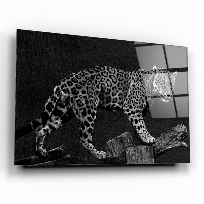 Leopar Cam Tablo Özel Tasarım Ofis, Mutfak Çocuk Odası, Salon Dekorasyon