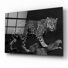 Leopar Cam Tablo Özel Tasarım Ofis, Mutfak Çocuk Odası, Salon Dekorasyon