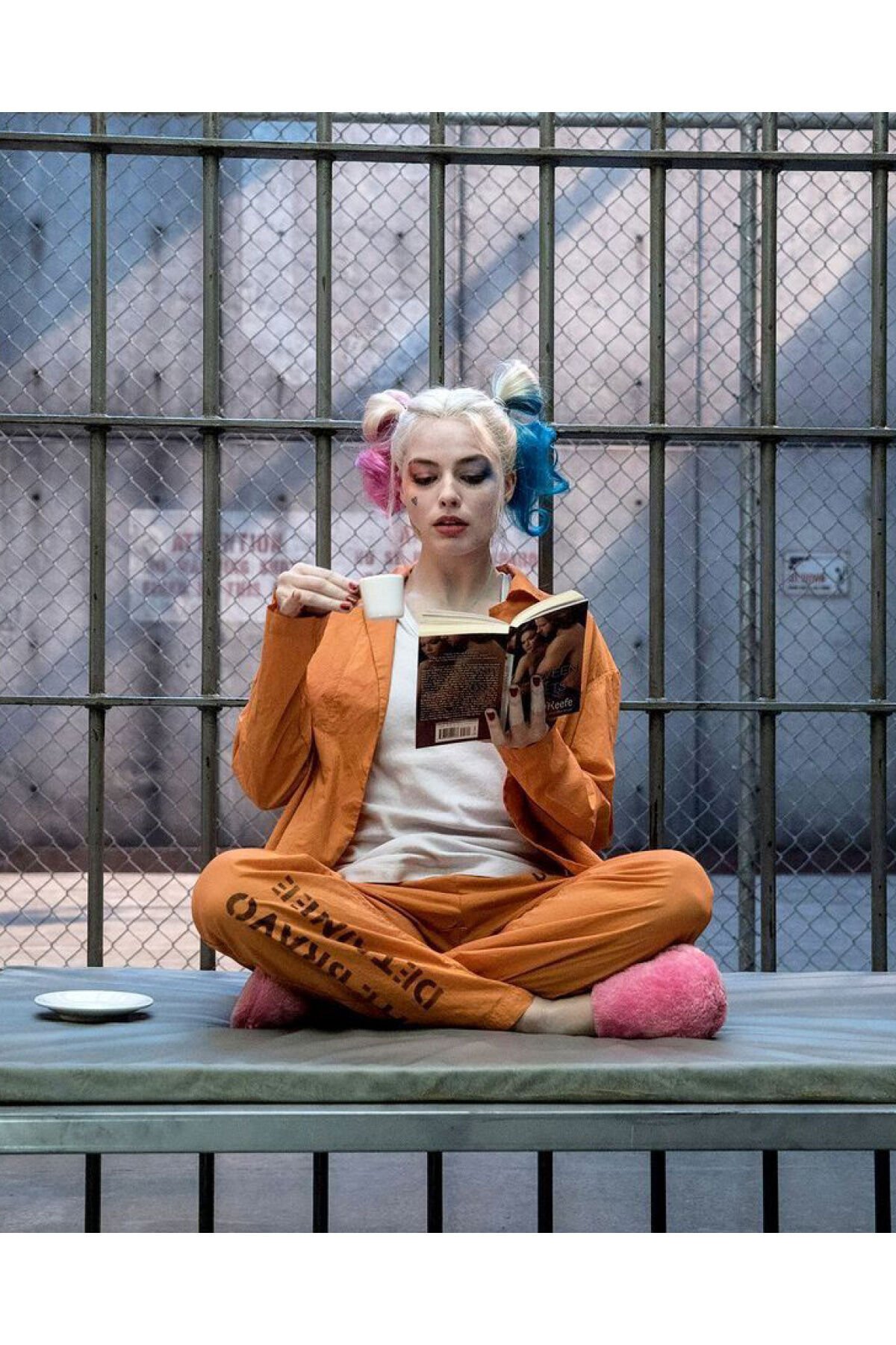 Kanvas Harleyquinn'İn Bir Günü Sayılarla Boyama Seti  Kasnaklı