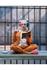 Kanvas Harleyquinn'İn Bir Günü Sayılarla Boyama Seti  Kasnaklı