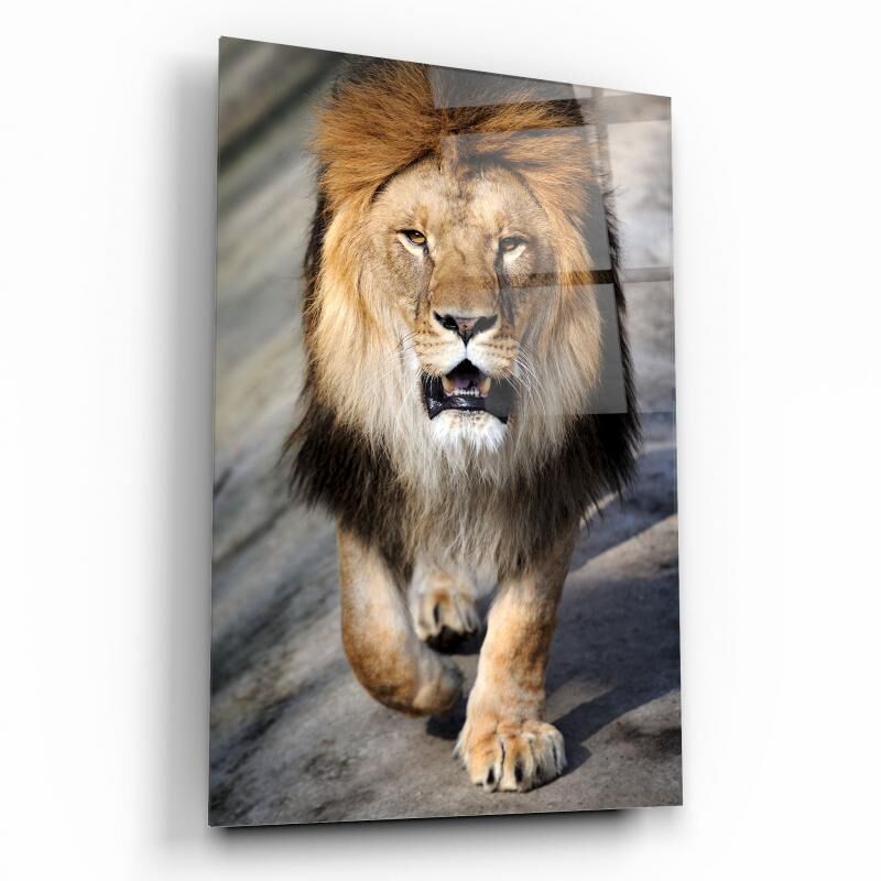 Aslan Cam Tablo Özel Tasarım Ofis, Mutfak Çocuk Odası, Salon Dekorasyon