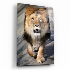 Aslan Cam Tablo Özel Tasarım Ofis, Mutfak Çocuk Odası, Salon Dekorasyon