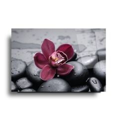 Çiçek Cam Tablo Özel Tasarım Ofis, Mutfak Çocuk Odası, Salon Dekorasyon