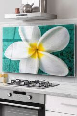 Ocak Arkası Cam Koruyucu Tezgah Ankastre Arkası Koruyucu | Plumeria Çiçek Desenli