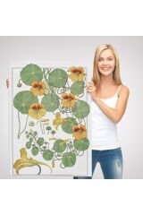 Nasturtium Çiçeği Kanvas Tablo-5206