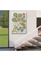 Nasturtium Çiçeği Kanvas Tablo-5206