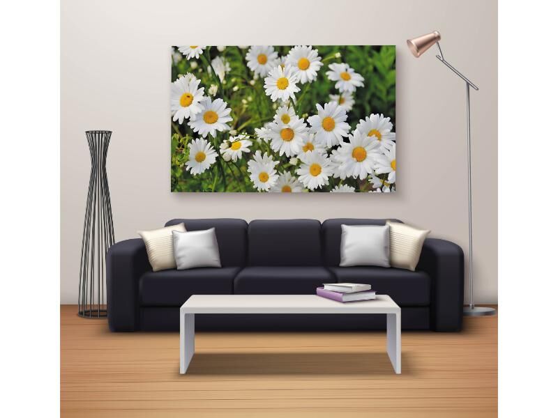 Dekoratif Baskı Özel Tasarım Dikdödrtgen Kanvas Tablo 1759