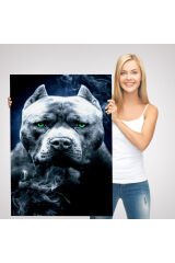 Pit Bull Yeşil Gözlü Amerikan Bully Köpek Kanvas Tablo-5259