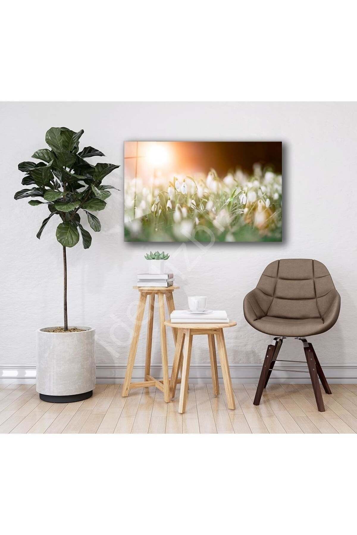Doğa Manzara Cam Tablo 4mm Dayanıklı Temperli Cam