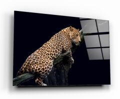 Leopar Cam Tablo Özel Tasarım Ofis, Mutfak Çocuk Odası, Salon Dekorasyon
