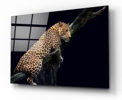 Leopar Cam Tablo Özel Tasarım Ofis, Mutfak Çocuk Odası, Salon Dekorasyon