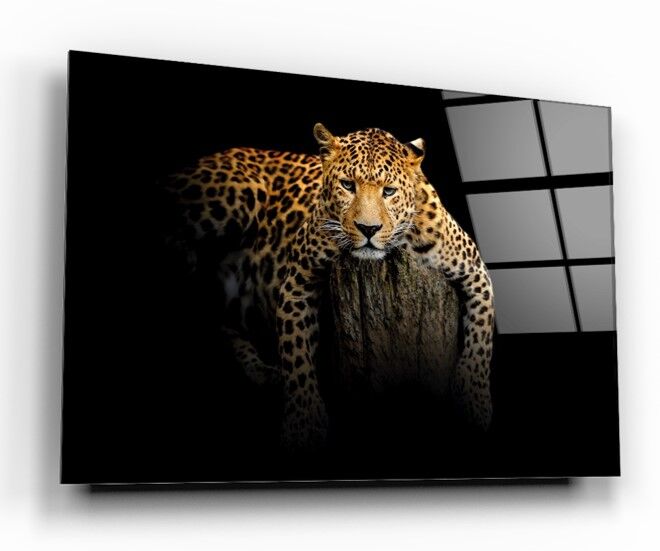 Leopar Cam Tablo Özel Tasarım Ofis, Mutfak Çocuk Odası, Salon Dekorasyon