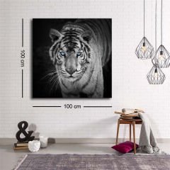 Dekoratif Baskı illüstrasyon Black White Tiger Kare Kanvas Tablo