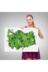 Türkiye Haritası Kanvas Tablo İl ve İlçeli Ayrıntılı Eğitici Dekoratif Tablo 3035