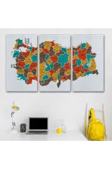 Türkiye Haritası Kanvas Tablo İl ve İlçeli Ayrıntılı Eğitici Dekoratif Tablo 3038