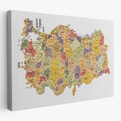 Türkiye Haritası Kanvas Tablo İl ve İlçeli Ayrıntılı Eğitici Dekoratif Tablo 3042