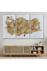 Türkiye Haritası Kanvas Tablo İl ve İlçeli Ayrıntılı Eğitici Dekoratif Tablo 3048