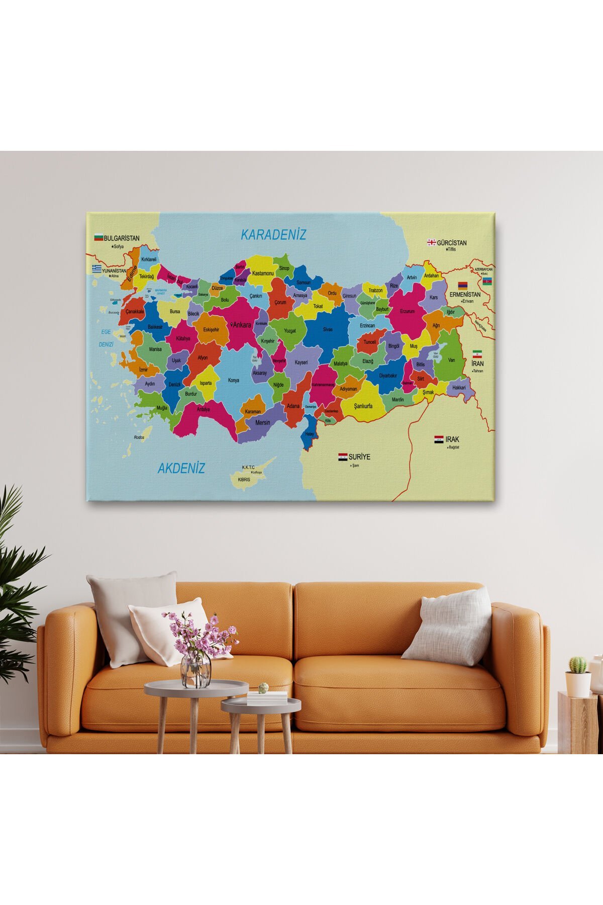 Türkiye Haritası Kanvas Tablo Sınır Komşulu Eğitici Dekoratif Tablo 3089
