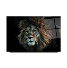 Aslan Cam Tablo Özel Tasarım Ofis, Mutfak Çocuk Odası, Salon Dekorasyon