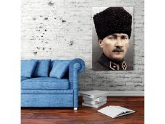 Dekoratif Baskı Özel Tasarım Kanvas Tablo 586