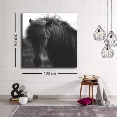 Dekoratif Baskı illüstrasyon Horse 2 Kanvas Tablo