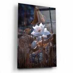 Çiçek Cam Tablo Özel Tasarım Ofis, Mutfak Çocuk Odası, Salon Dekorasyon