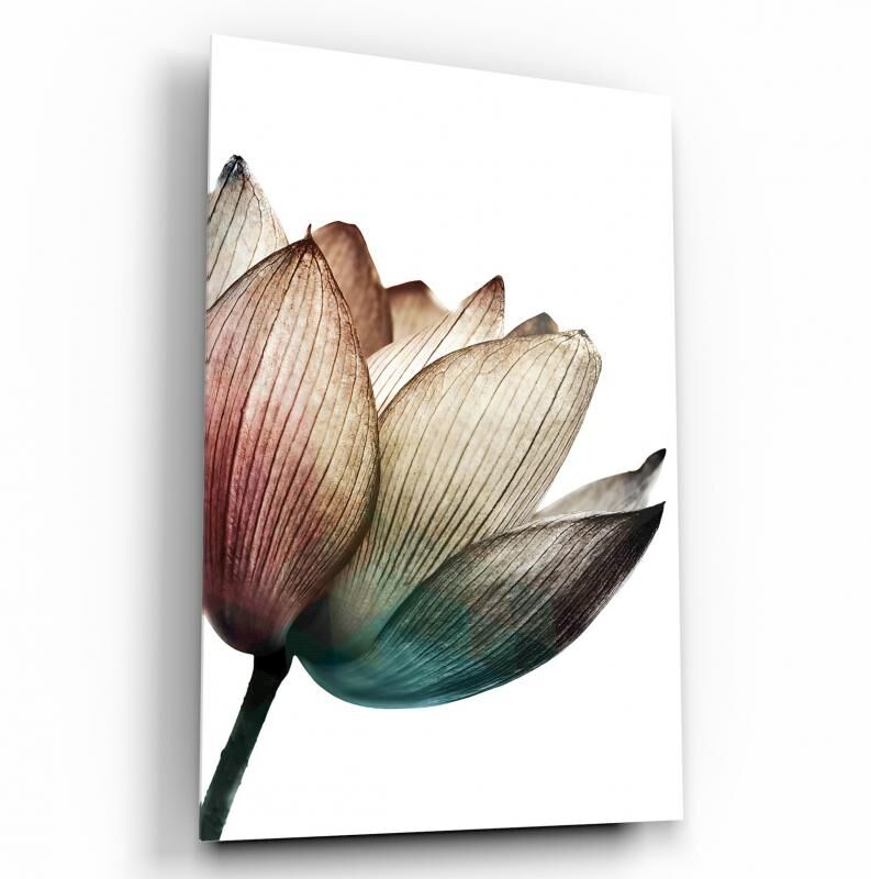 Lale Cam Tablo Özel Tasarım Ofis, Mutfak Çocuk Odası, Salon Dekorasyon