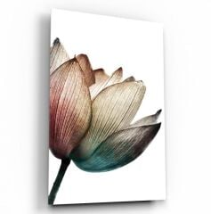 Lale Cam Tablo Özel Tasarım Ofis, Mutfak Çocuk Odası, Salon Dekorasyon