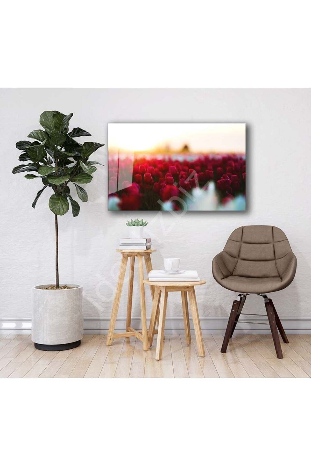 Doğa Manzara Cam Tablo 4mm Dayanıklı Temperli Cam