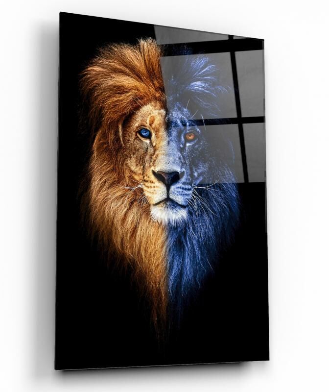 Aslan Cam Tablo Özel Tasarım Ofis, Mutfak Çocuk Odası, Salon Dekorasyon