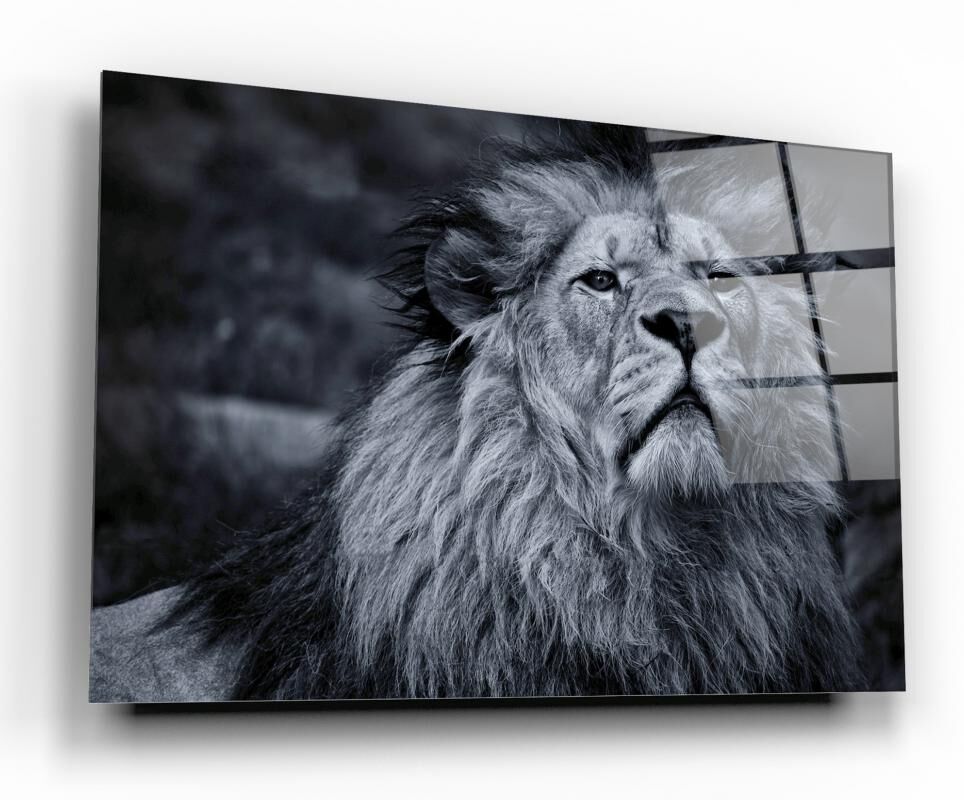 Aslan Cam Tablo Özel Tasarım Ofis, Mutfak Çocuk Odası, Salon Dekorasyon