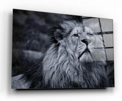 Aslan Cam Tablo Özel Tasarım Ofis, Mutfak Çocuk Odası, Salon Dekorasyon