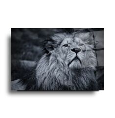 Aslan Cam Tablo Özel Tasarım Ofis, Mutfak Çocuk Odası, Salon Dekorasyon